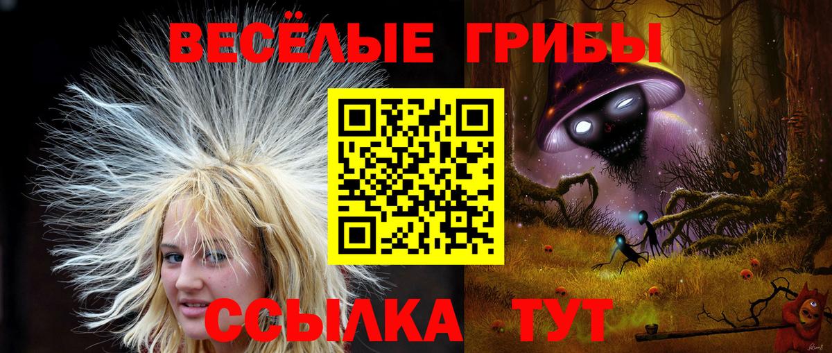 Псилоцибиновые грибы MAGIC MUSHROOMS Знаменск
